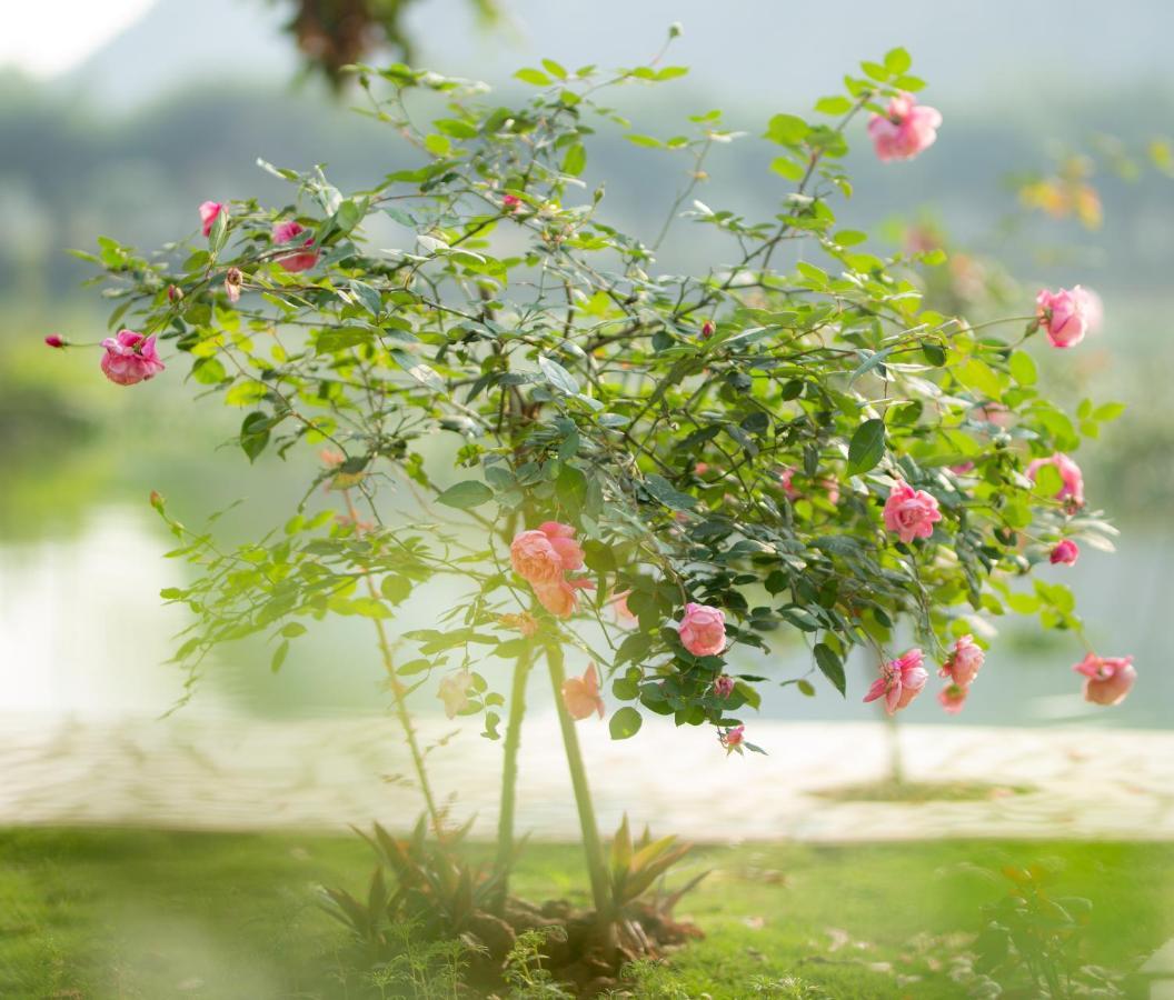 Serena Riverside Homestay - Trang An ニンビン エクステリア 写真